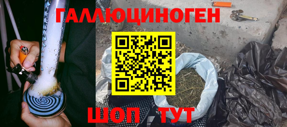 Галлюциногенные грибы Cubensis Красноярск