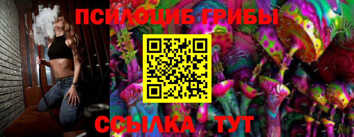 Псилоцибиновые грибы GOLDEN TEACHER  Вход с VPN  Псилоцибиновые грибы MAGIC MUSHROOMS  Красноярск 